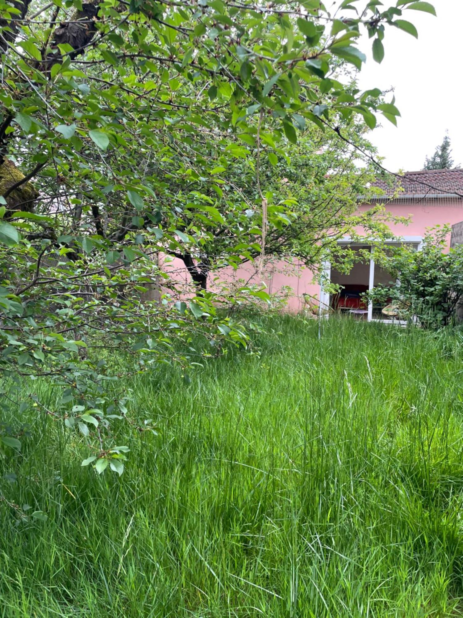 Charmante Maison Avec Jardin Aux Portes De Paris Vitry-sur-Seine Bagian luar foto